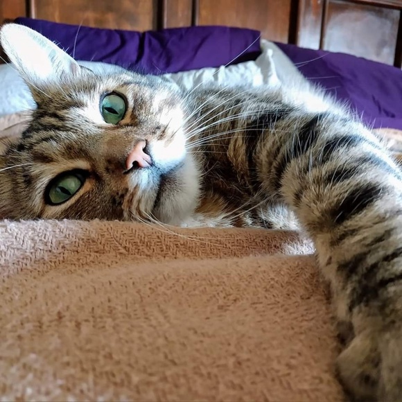 Meet your Posher, Mallory - Picture 5 of 7